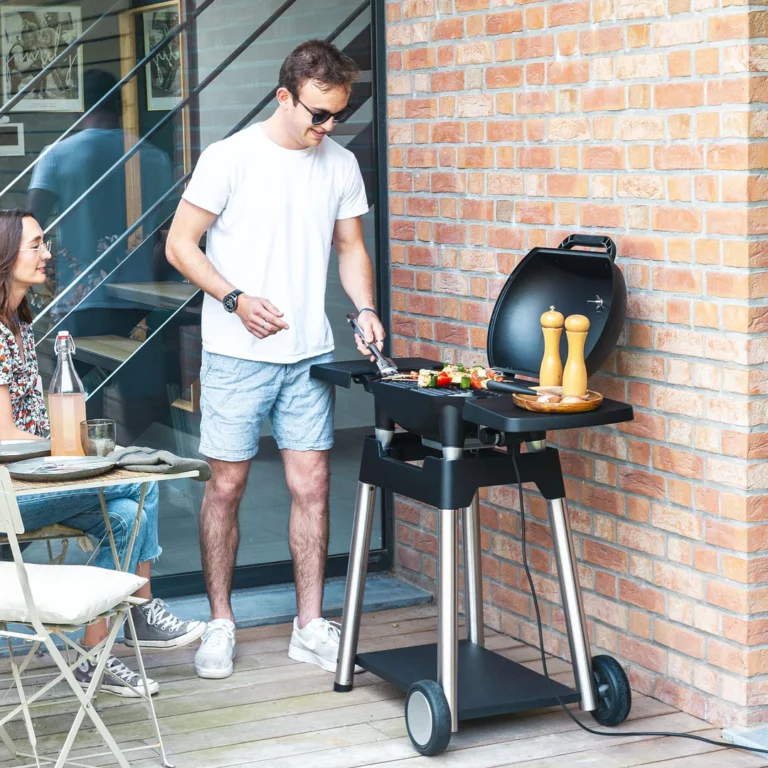 Barbecues Et Planchas Pour Des Recettes Savoureuses